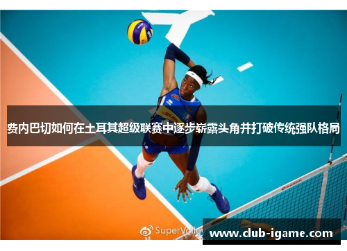 费内巴切如何在土耳其超级联赛中逐步崭露头角并打破传统强队格局