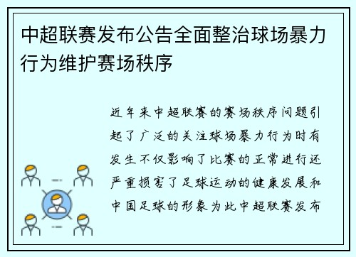 中超联赛发布公告全面整治球场暴力行为维护赛场秩序