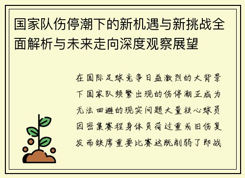 国家队伤停潮下的新机遇与新挑战全面解析与未来走向深度观察展望 国家队伤停潮下的新机遇与新挑战全面解析与未来走向深度观察展望